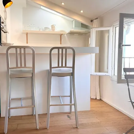Homelivia, Lovely One Bedroom Flat Place Garibaldi Et Port * Nizza